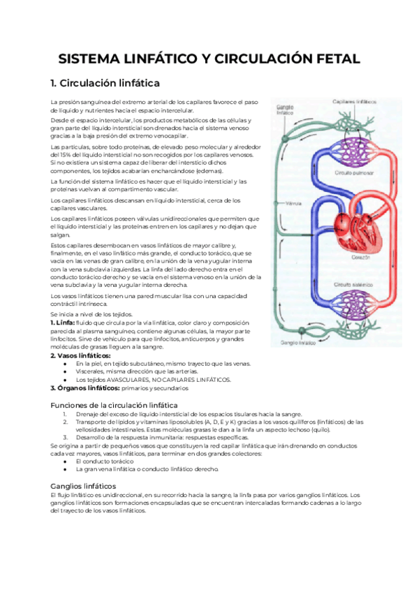 Miniatura del documento Sistema-Linfatico.pdf