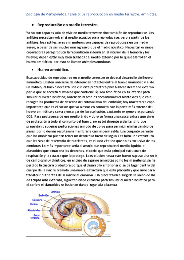 Miniatura del documento TEMA 6 ZOO.pdf