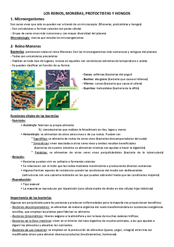 Miniatura del documento LOS-REINOS-monera-protoctistas-y-hongos.pdf