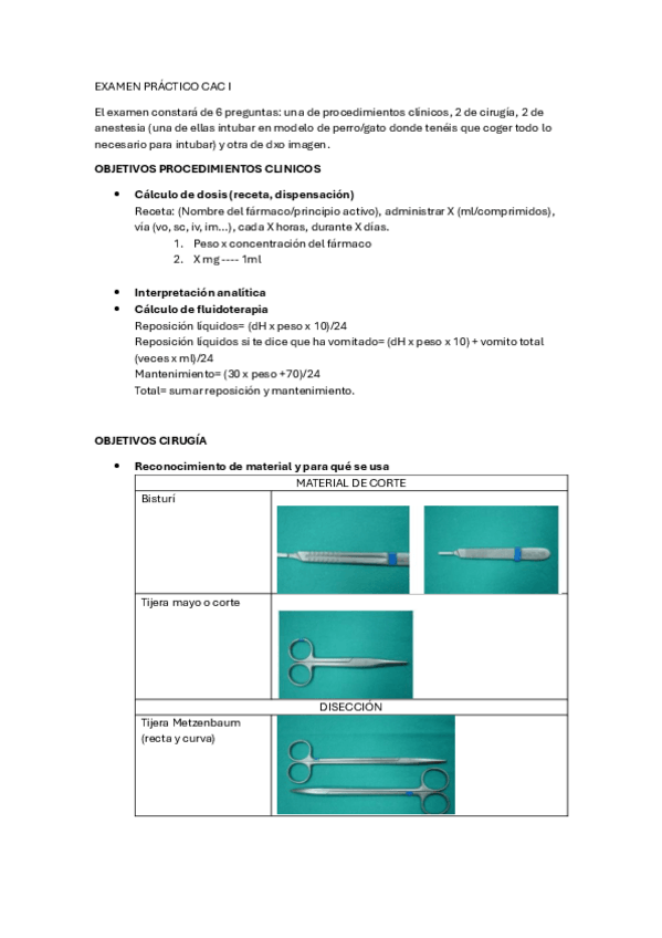 Miniatura del documento apuntes-CAC-practico.pdf