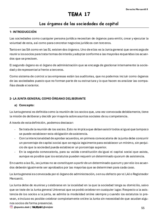 Miniatura del documento TEMA-17-Los-organos-de-las-sociedades-de-capital.pdf