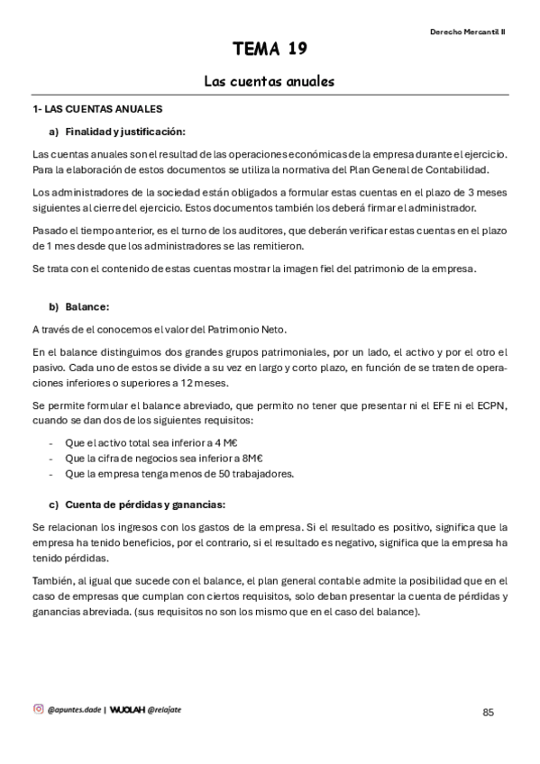 Miniatura del documento TEMA-19-Las-cuentas-anuales.pdf