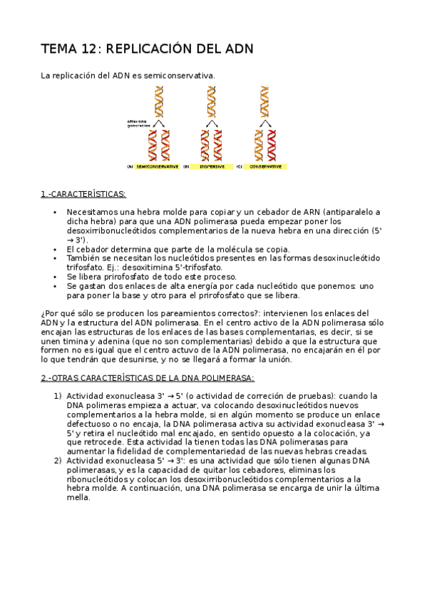 Miniatura del documento Tema 12.odt