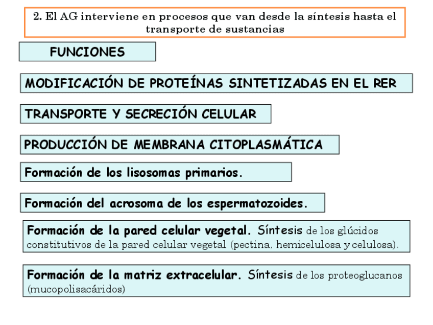Miniatura del documento FUNCIONES-APARATO-DE-GOLGI.pdf