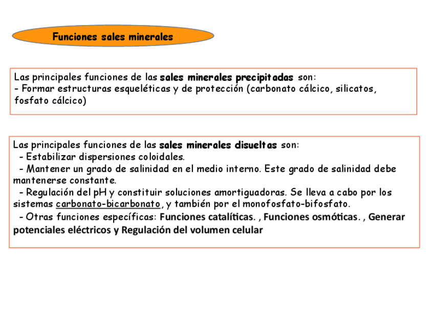 Miniatura del documento FUNCIONES-SALES-MINERALES.pdf