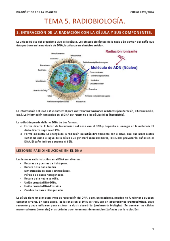 Miniatura del documento Resumen-TEMA-5.pdf