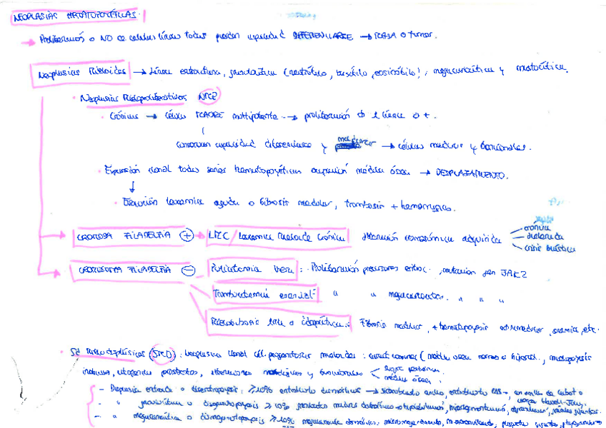 Miniatura del documento Esquema-Tema-5.pdf