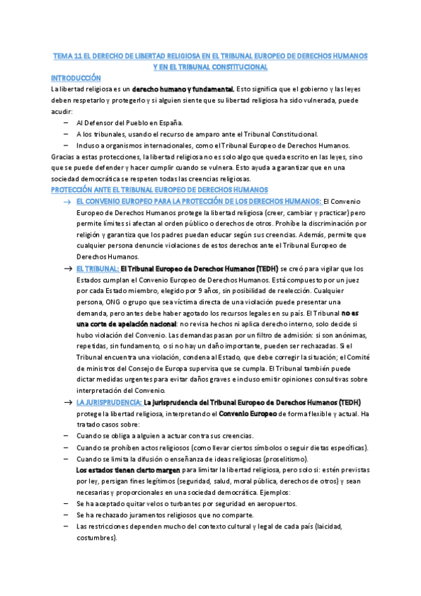 Miniatura del documento T11-DerEclesiastico.pdf