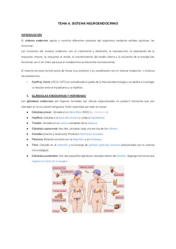 Miniatura del documento TEMA-4.-SISTEMA-NEUROENDOCRINO.pdf