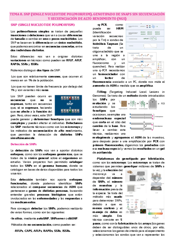 Miniatura del documento Tema 8 Marcadores moleculares, SNP.pdf