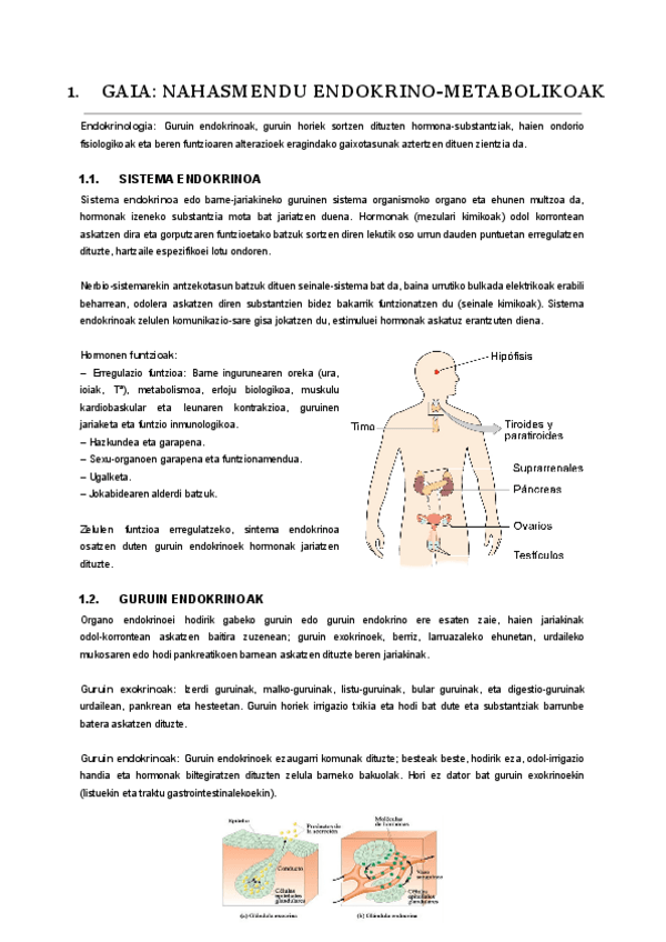 Miniatura del documento 01.-endokrino.pdf
