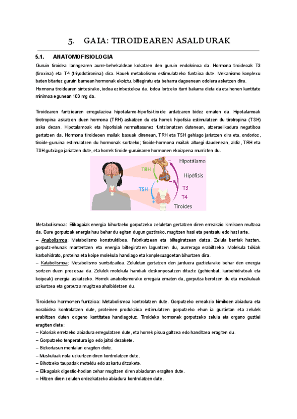 Miniatura del documento 05.-endokrino.pdf