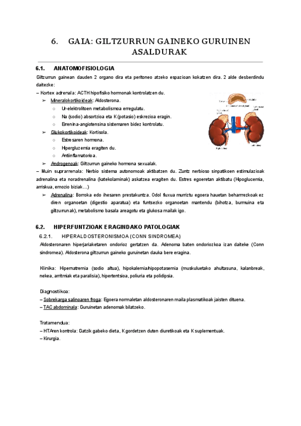 Miniatura del documento 06.-endokrino.pdf