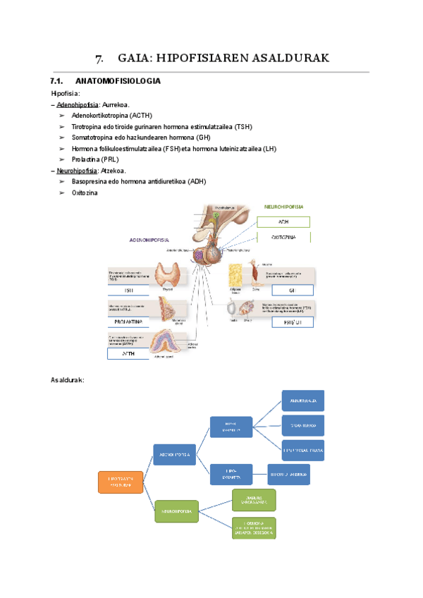 Miniatura del documento 07.-endokrino.pdf
