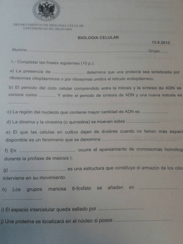 Miniatura del documento 1.jpg