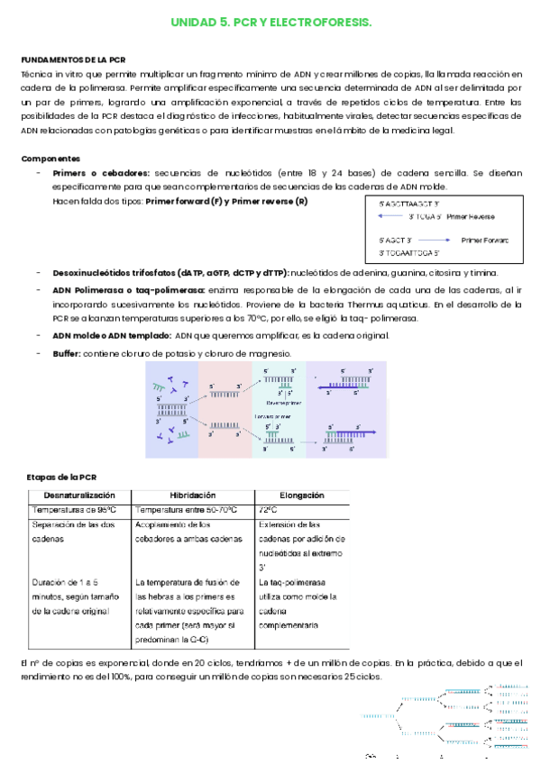 Miniatura del documento T5-PCR-Y-electroforesis..pdf