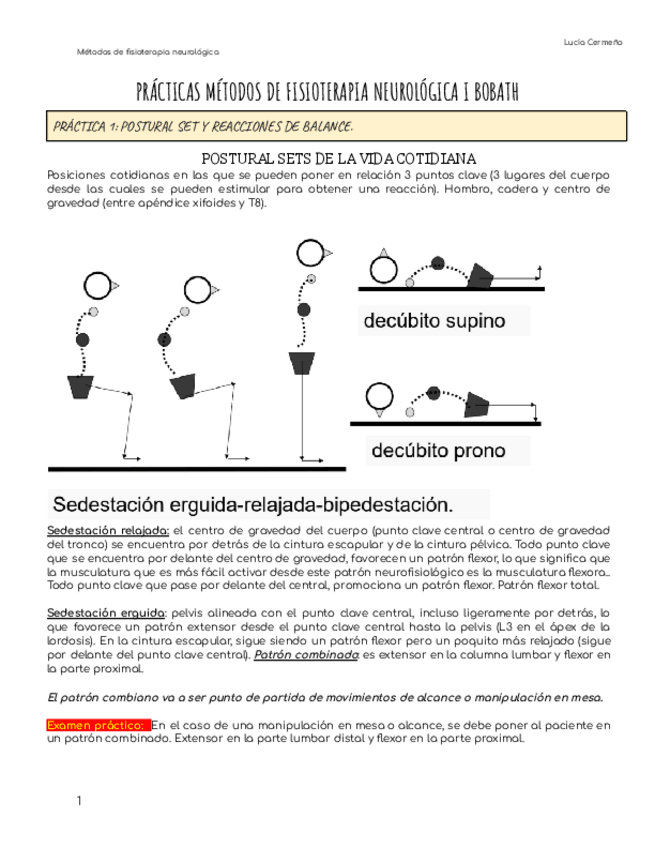 Miniatura del documento PRACTICAS-BOBATH.pdf