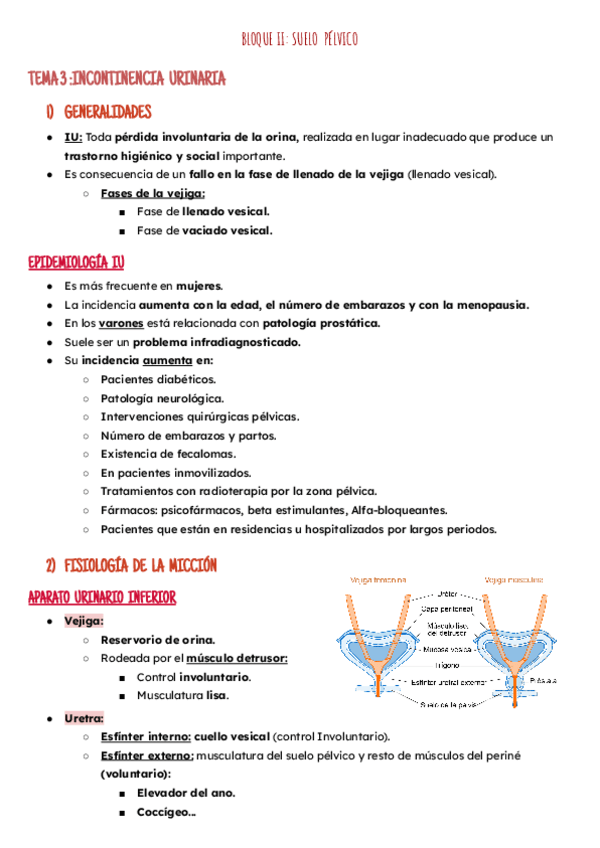 Miniatura del documento Bloque II: Incontinencia Urinaria.pdf