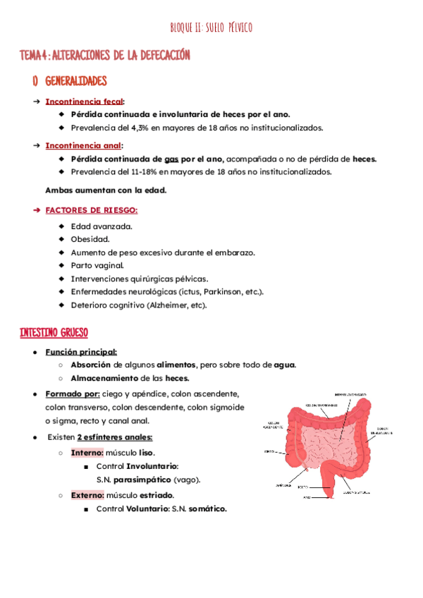 Miniatura del documento Bloque II: Alteraciones Defecación.pdf
