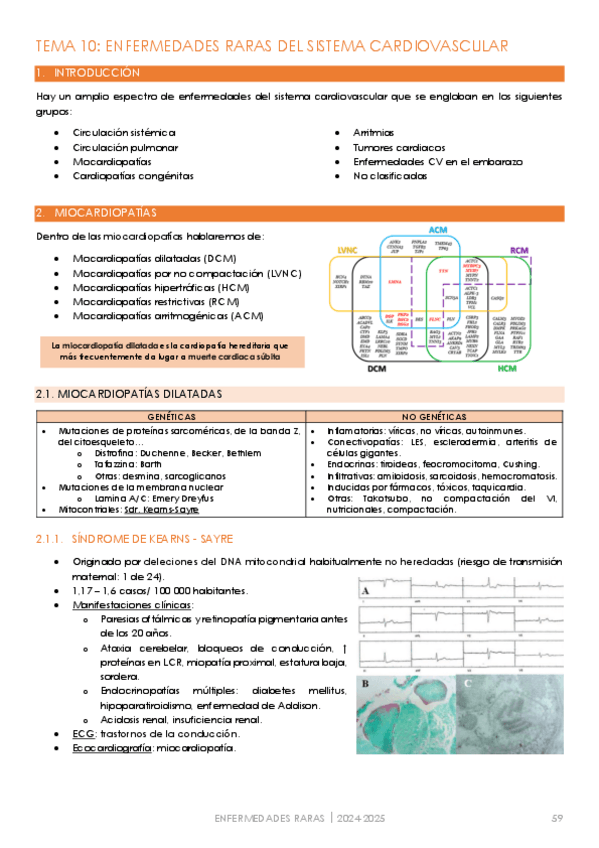 Miniatura del documento T10.-EERR-del-sistema-cardiovascular.pdf