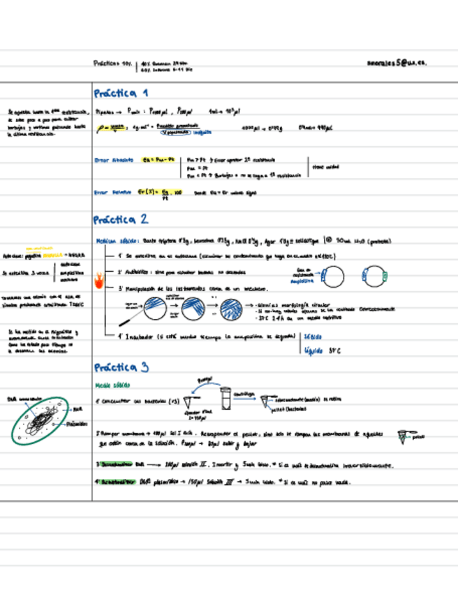 Miniatura del documento Practicas.pdf
