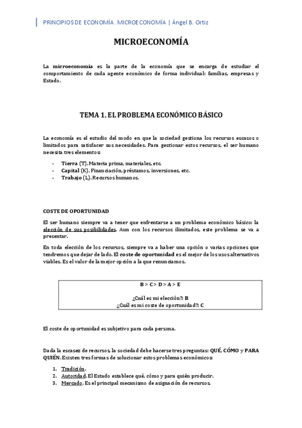 Miniatura del documento APUNTES ECONOMÍA. Ángel B. Ortiz.pdf