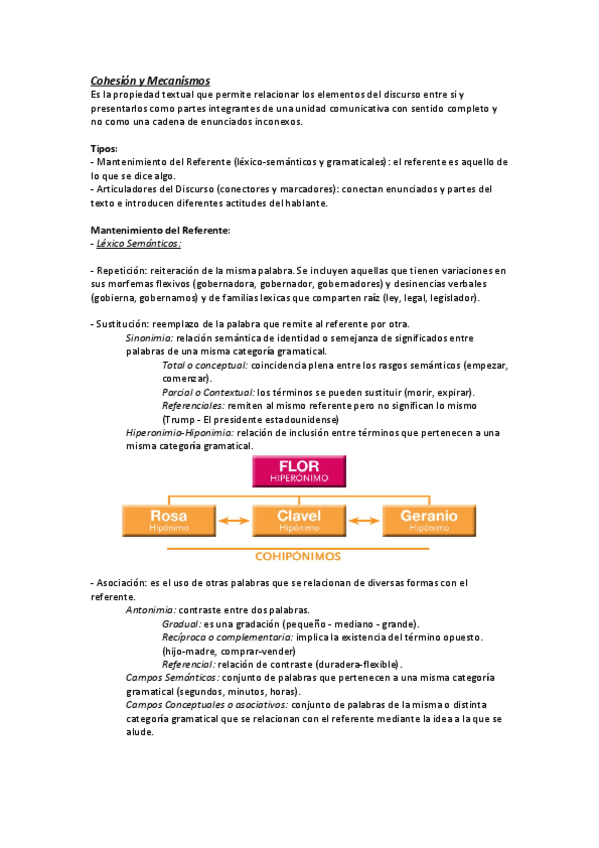 Miniatura del documento Mecanismos-de-Cohesion.pdf