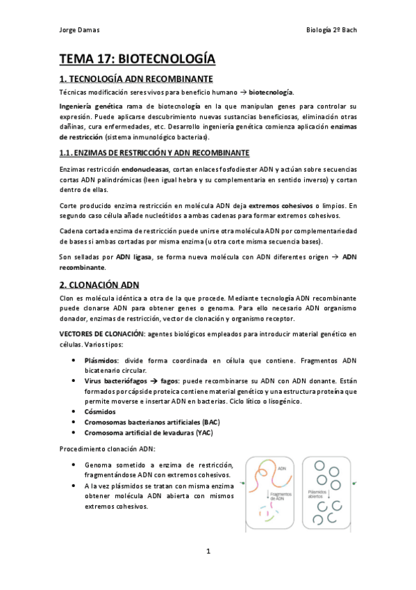 Miniatura del documento TEMA-17-Biotecnologia.pdf