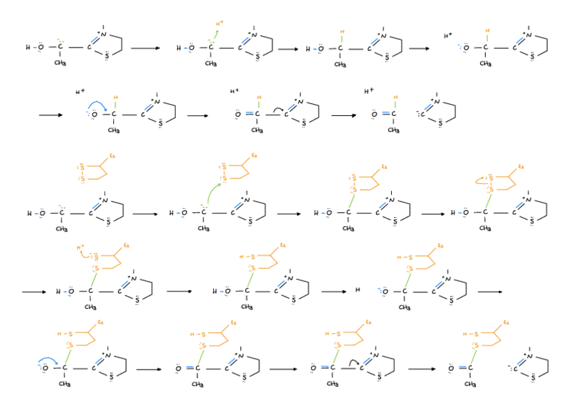Miniatura del documento Mecanismo-de-reaccion-Complejo-Piruvato-Deshidrogenasa.pdf