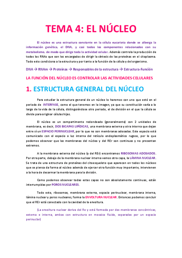 Miniatura del documento Tema 4 El núcleo.pdf