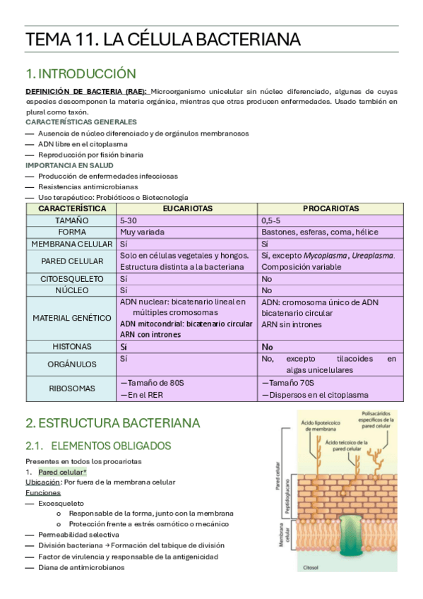 Miniatura del documento BIOLOGIA-TEMA-11.pdf