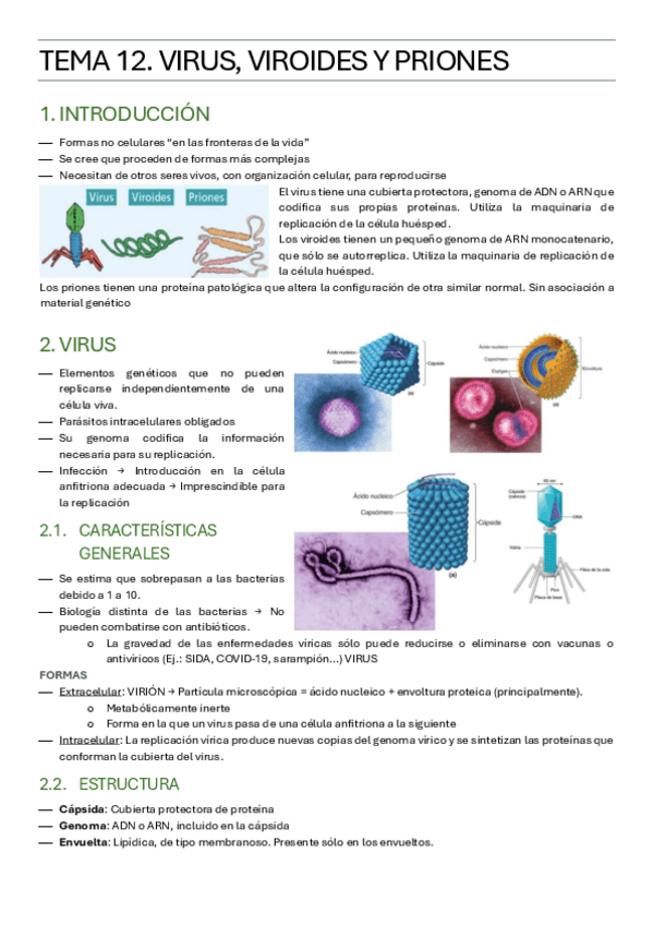Miniatura del documento BIOLOGIA-TEMA-12.pdf