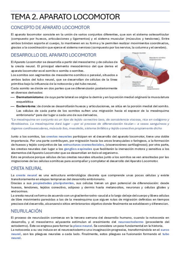 Miniatura del documento TEMA-2.pdf