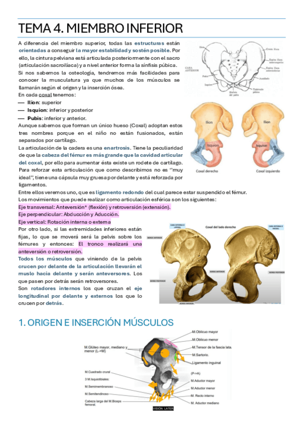 Miniatura del documento TEMA-4.pdf