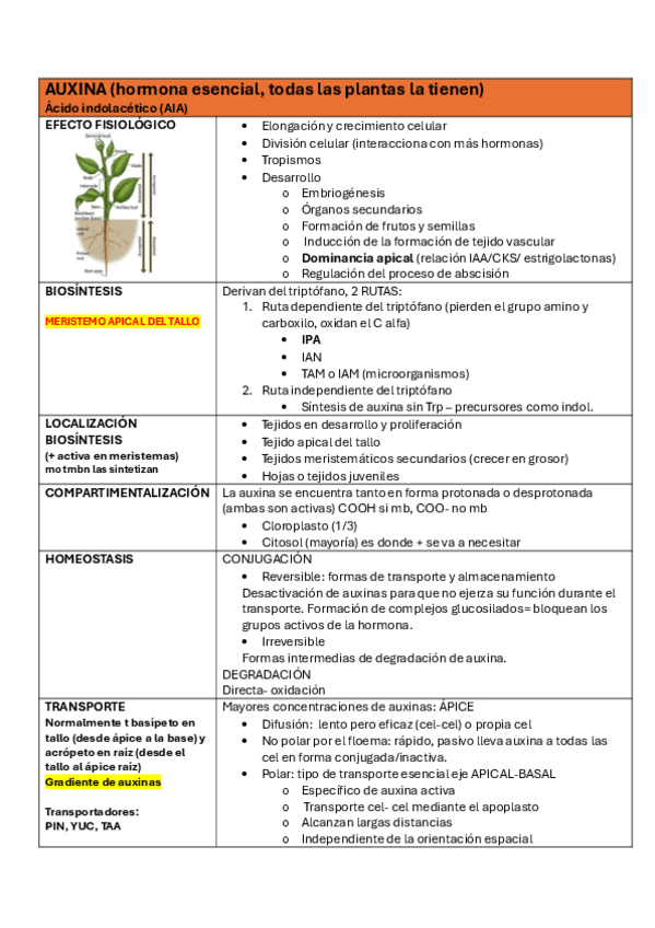 Miniatura del documento TABLAS-HORMONAS.pdf