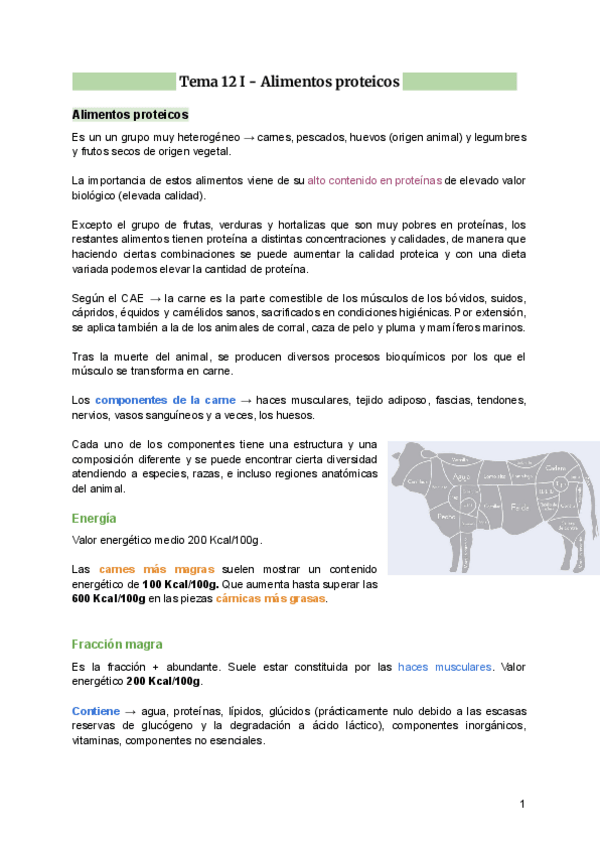 Miniatura del documento Tema-12-I-Alimentos-proteicos-Carne-pescado-y-huevo.pdf