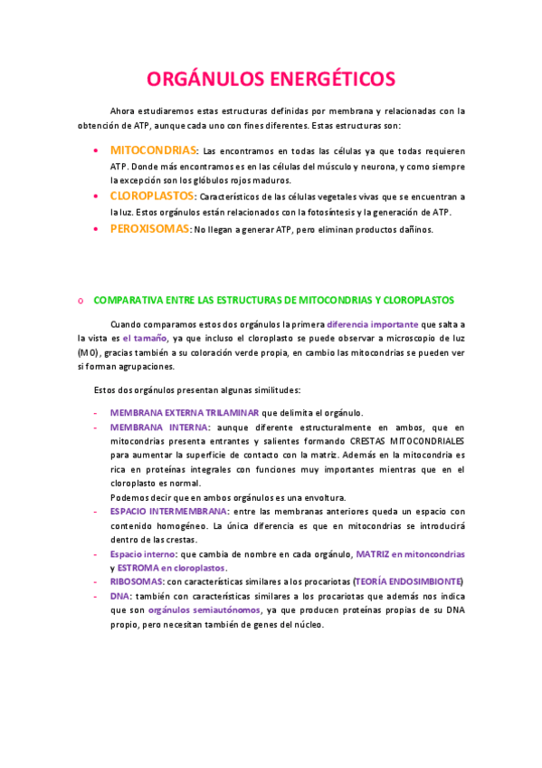 Miniatura del documento Tema 9 Mitocondrias.pdf