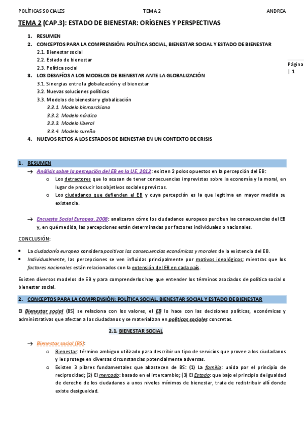 Miniatura del documento TEMA 2_POLÍTICAS SOCIALES_ANDREA.pdf