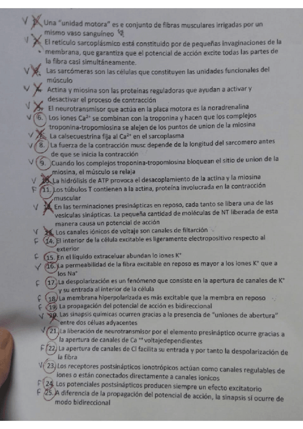 Miniatura del documento ilovepdf_jpg_to_pdf (3).pdf