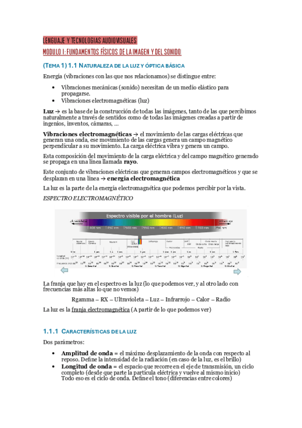 Miniatura del documento LENGUAJE-APUNTES-ENTEROS.pdf