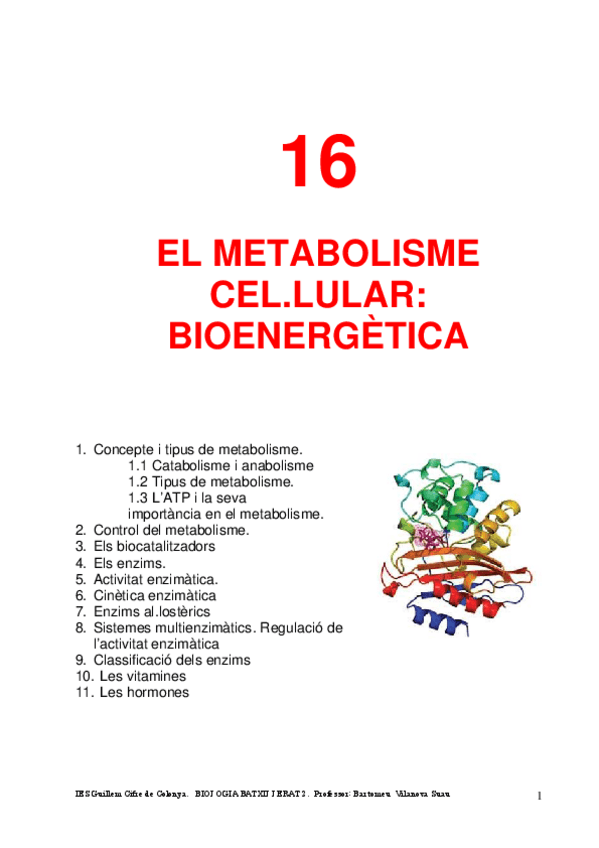 Miniatura del documento T16-EL-METABOLISME-CEL.LULAR-BIOENERGETICA.pdf