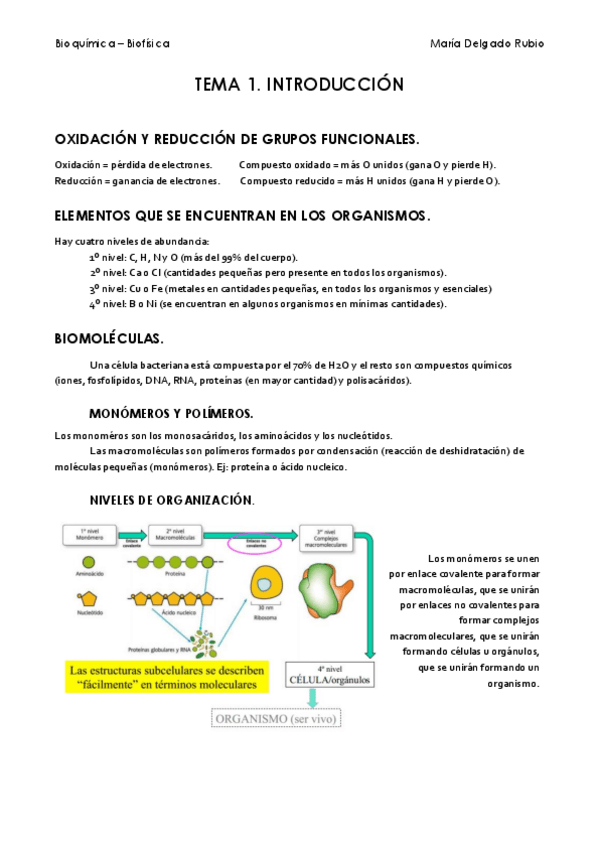 Miniatura del documento Tema 1.pdf