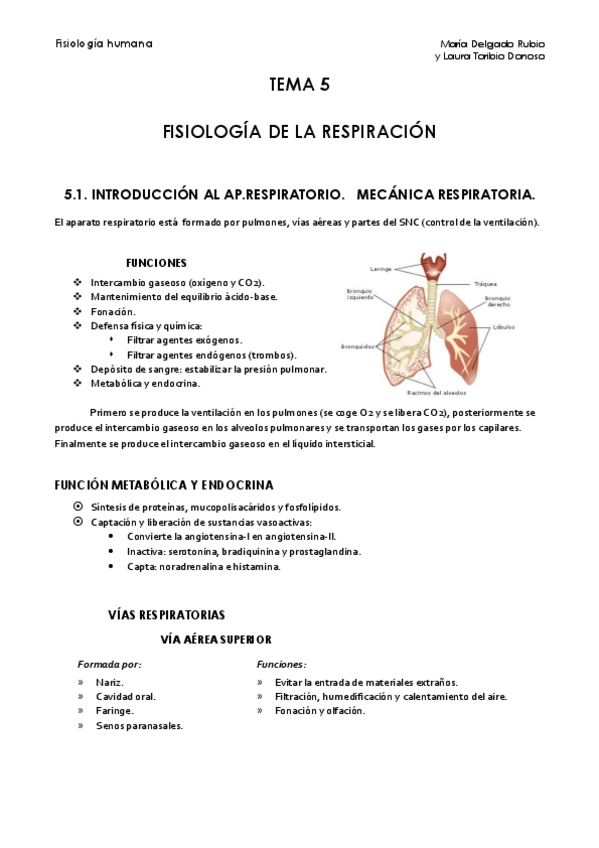 Miniatura del documento Tema 5.pdf