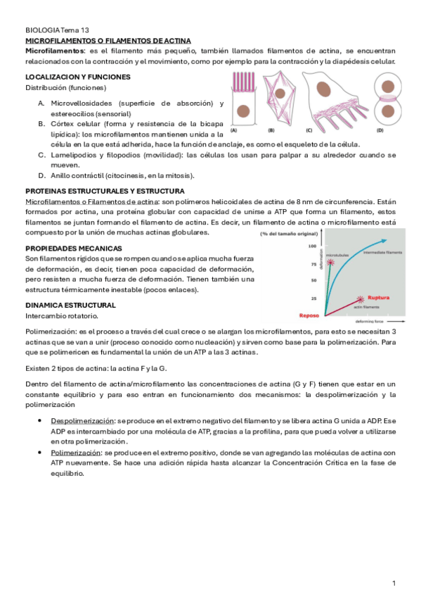 Miniatura del documento BIOLOGIA-Tema-13.pdf