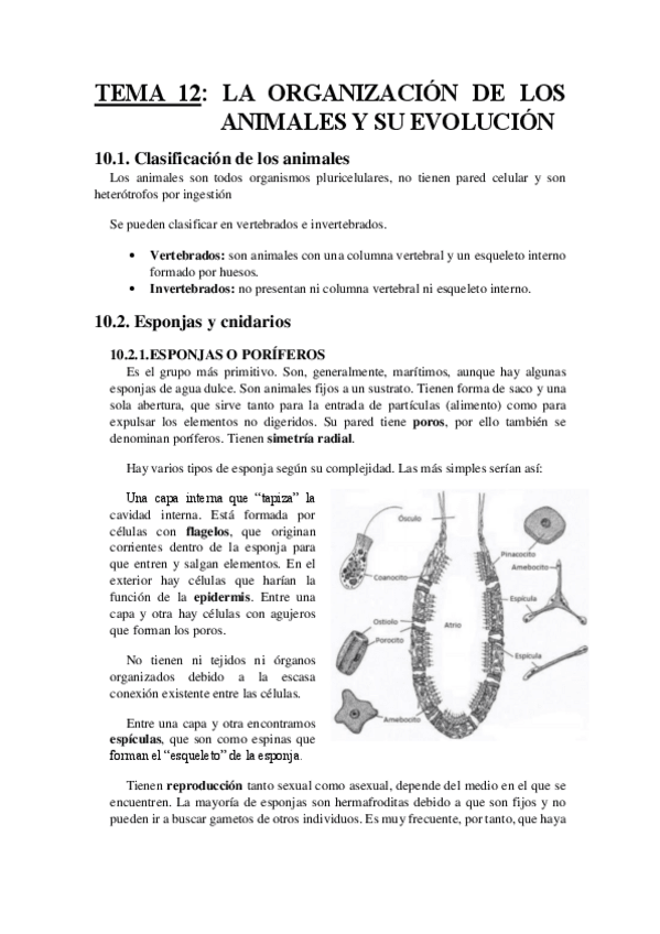 Miniatura del documento TEMA 12.docx.pdf