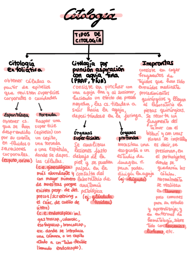 Miniatura del documento TEMA-1-tipos-de-citologia-fases-y-tecnicas-de-tincion.pdf