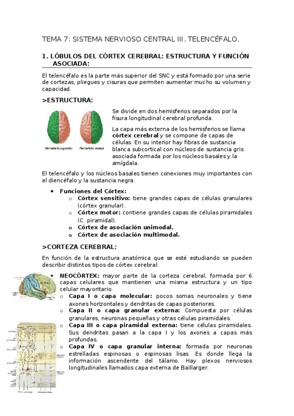 Miniatura del documento RESUMEN-TEMA-7.docx