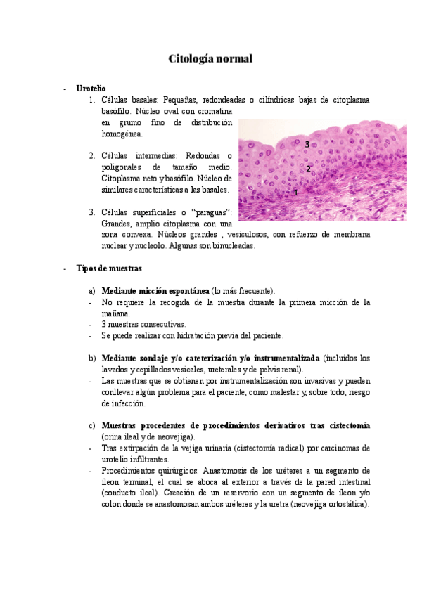 Miniatura del documento Citologia-urinaria-normal.pdf