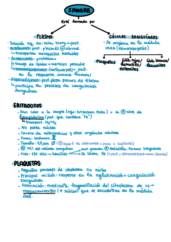 Miniatura del documento Histologia-Sangre.pdf