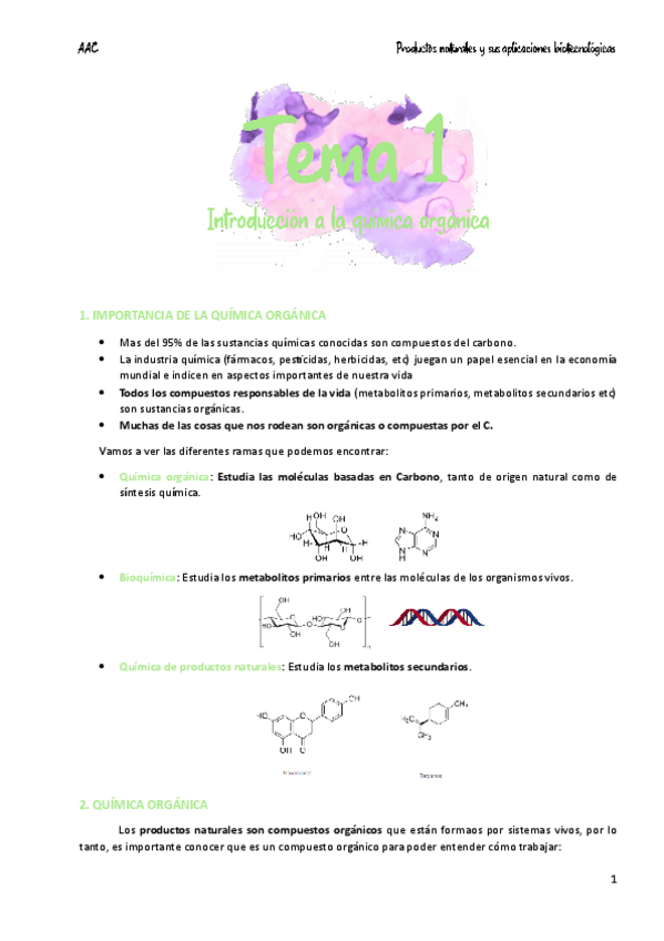 Miniatura del documento Tema-1-Introduccion.pdf